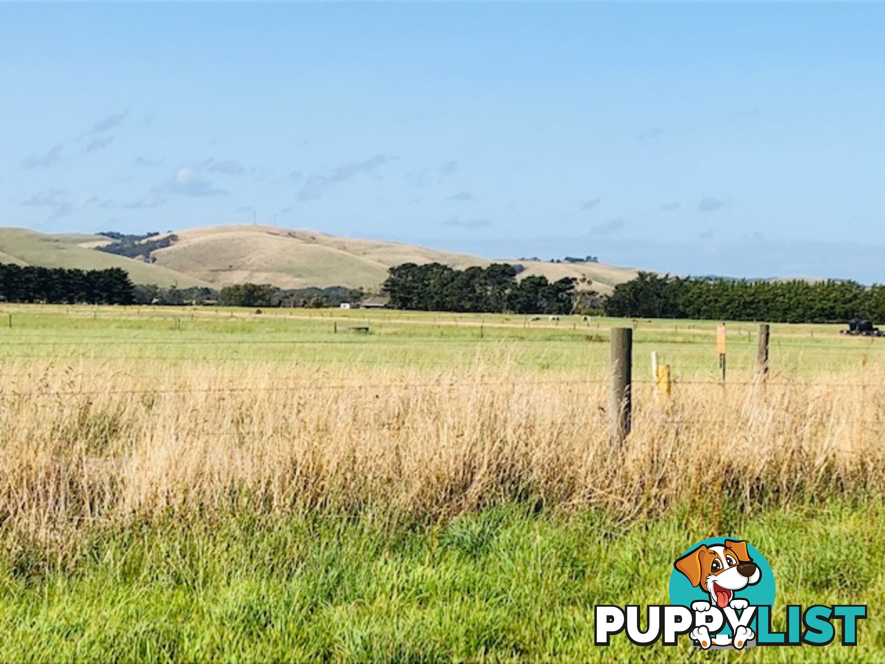 209 Barry Rd AGNES VIC 3962