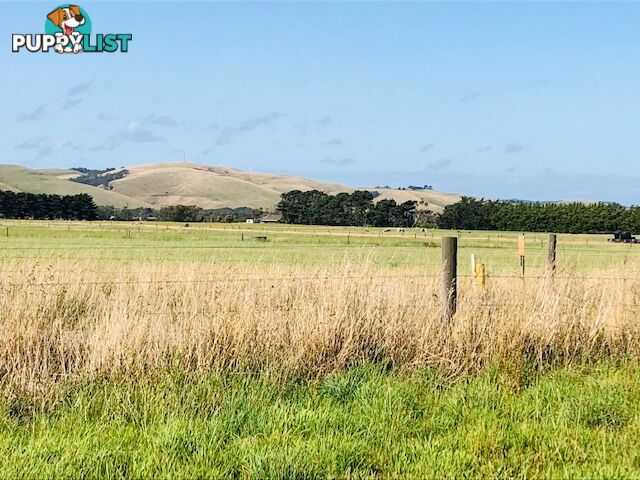 209 Barry Rd AGNES VIC 3962