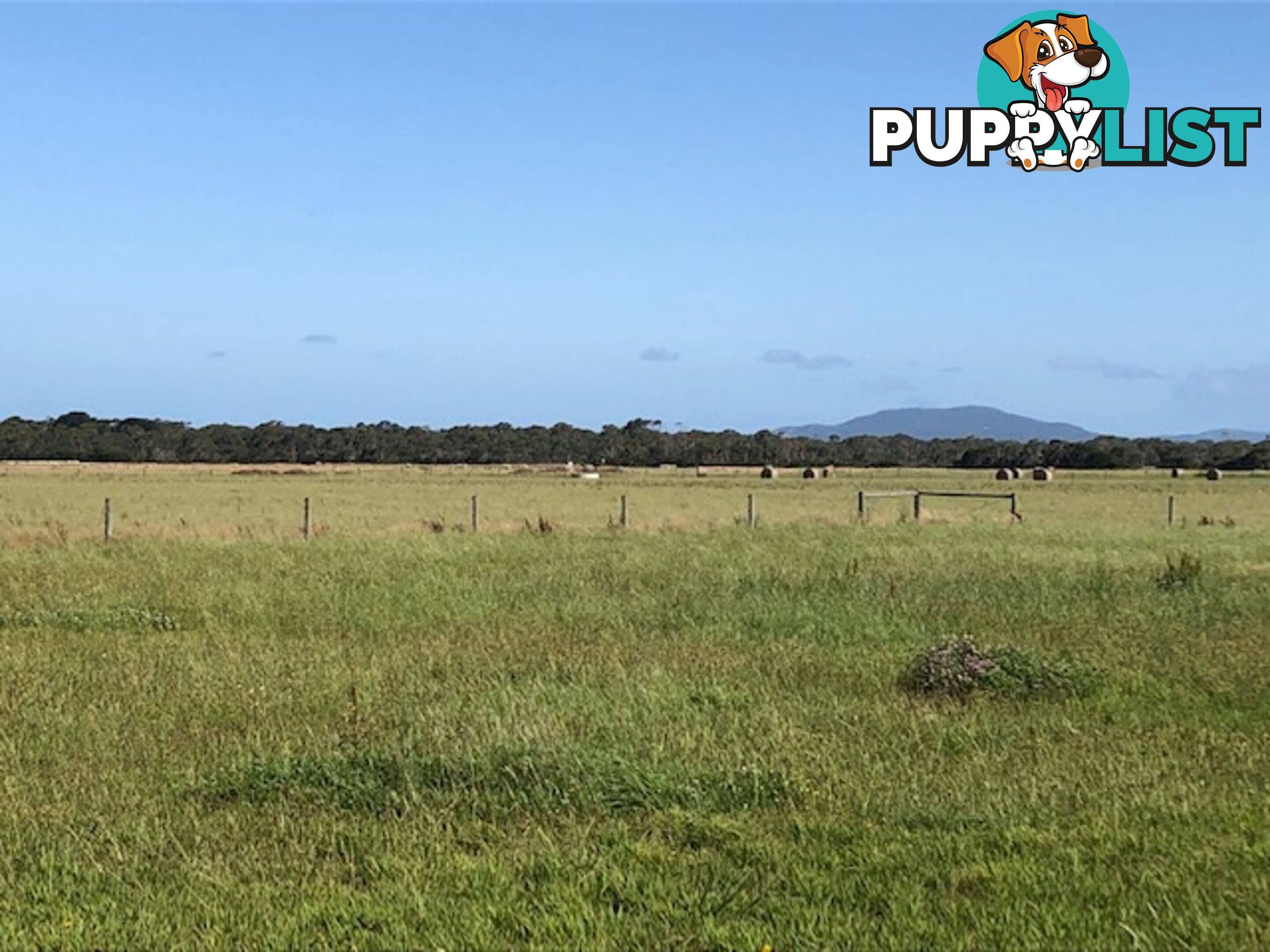 209 Barry Rd AGNES VIC 3962