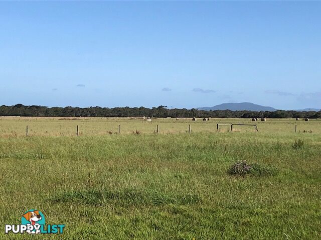 209 Barry Rd AGNES VIC 3962