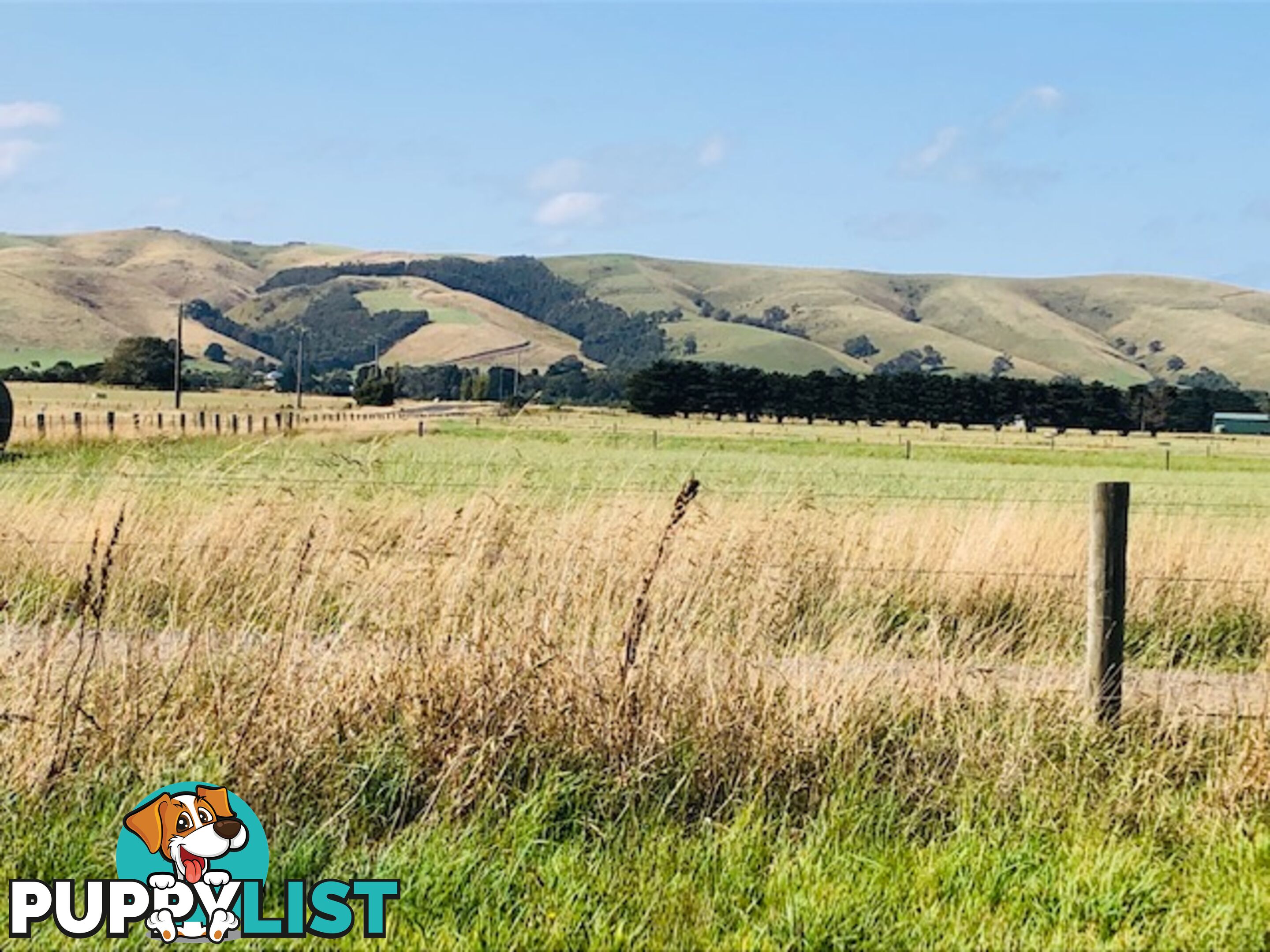 209 Barry Rd AGNES VIC 3962