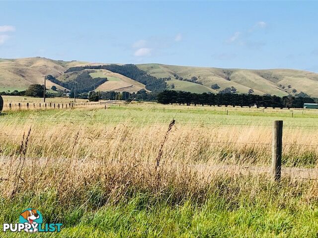 209 Barry Rd AGNES VIC 3962
