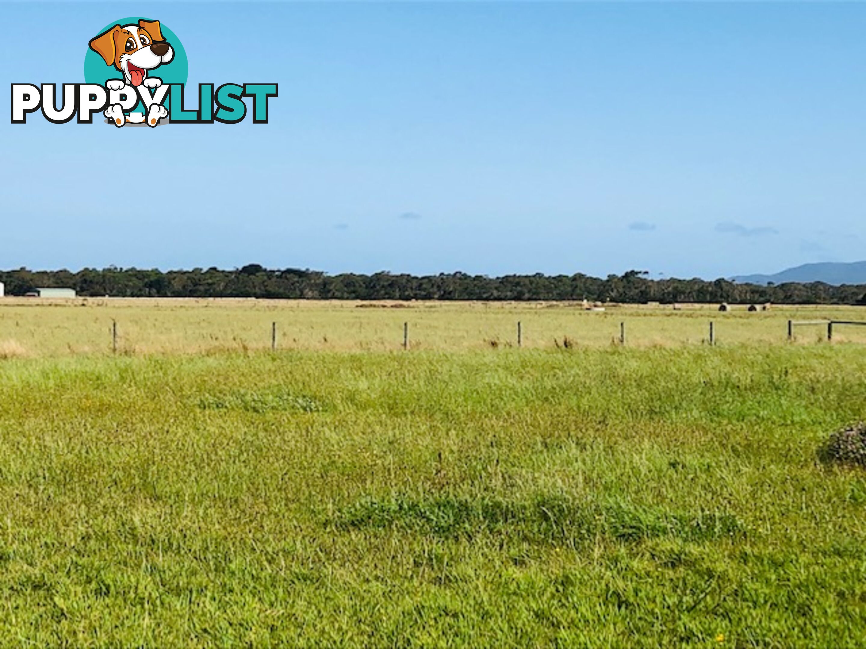 209 Barry Rd AGNES VIC 3962