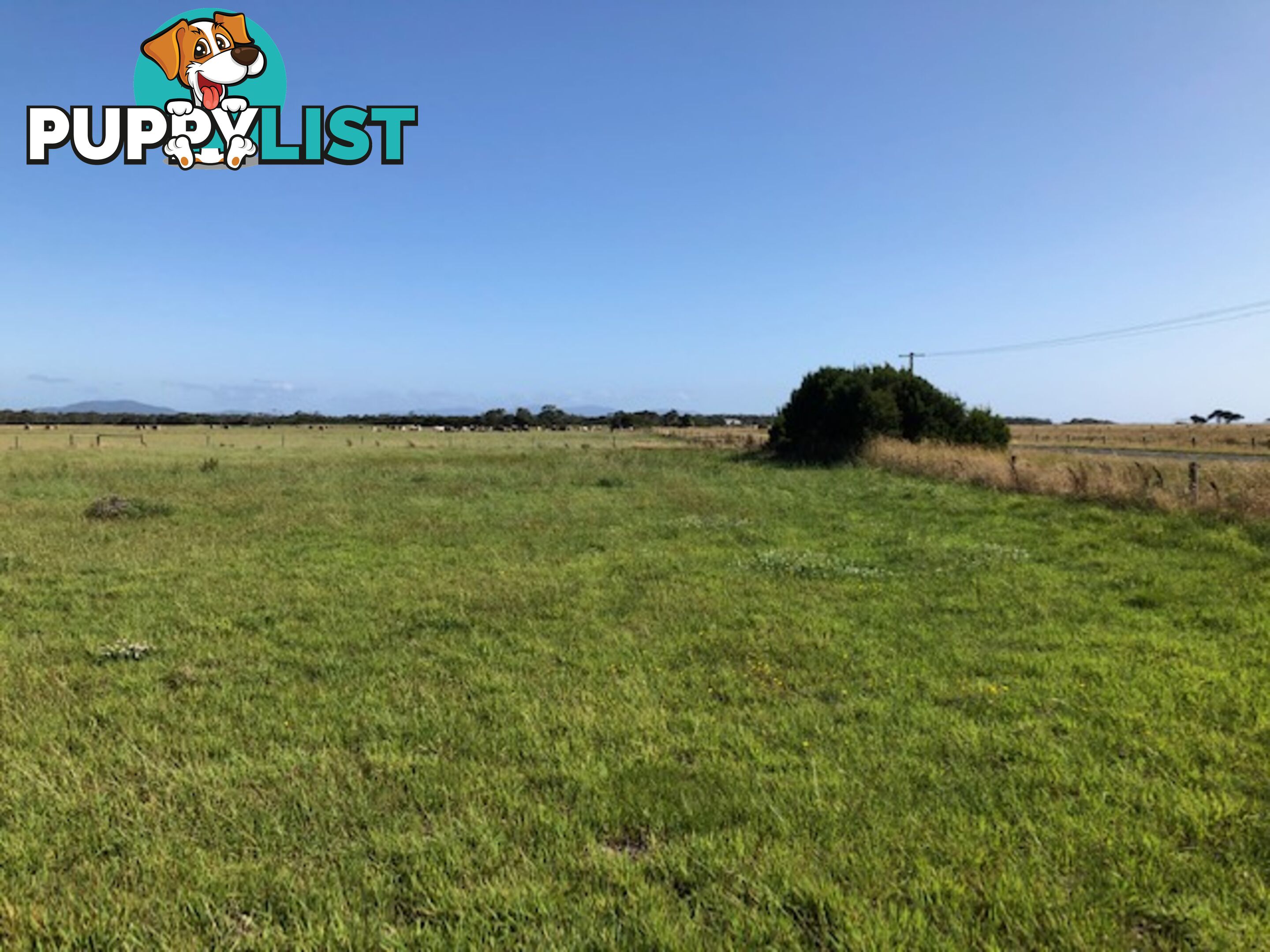 209 Barry Rd AGNES VIC 3962