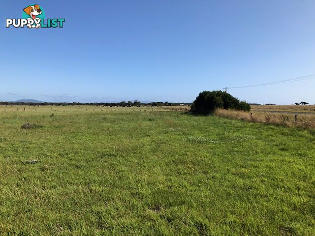 209 Barry Rd AGNES VIC 3962