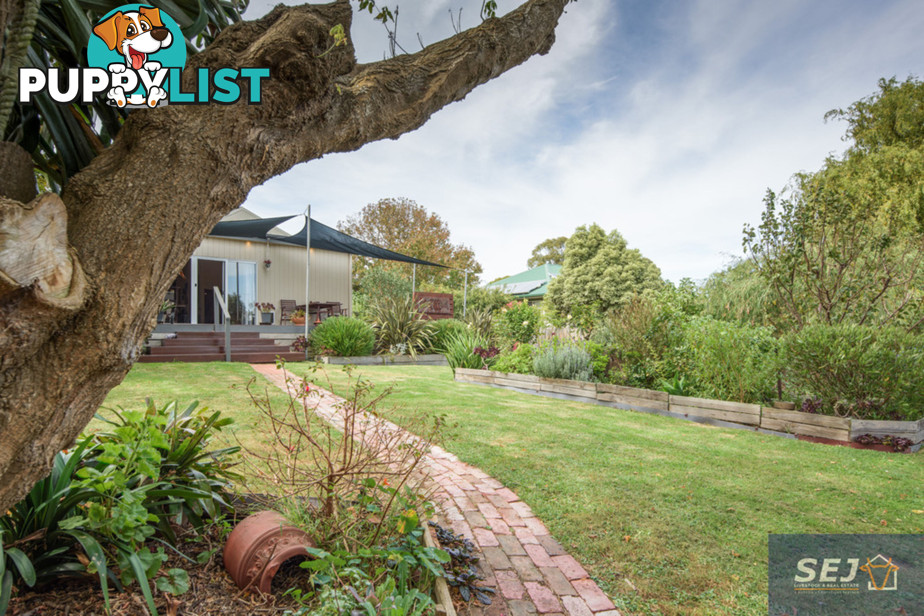 8 Dutton St TOORA VIC 3962