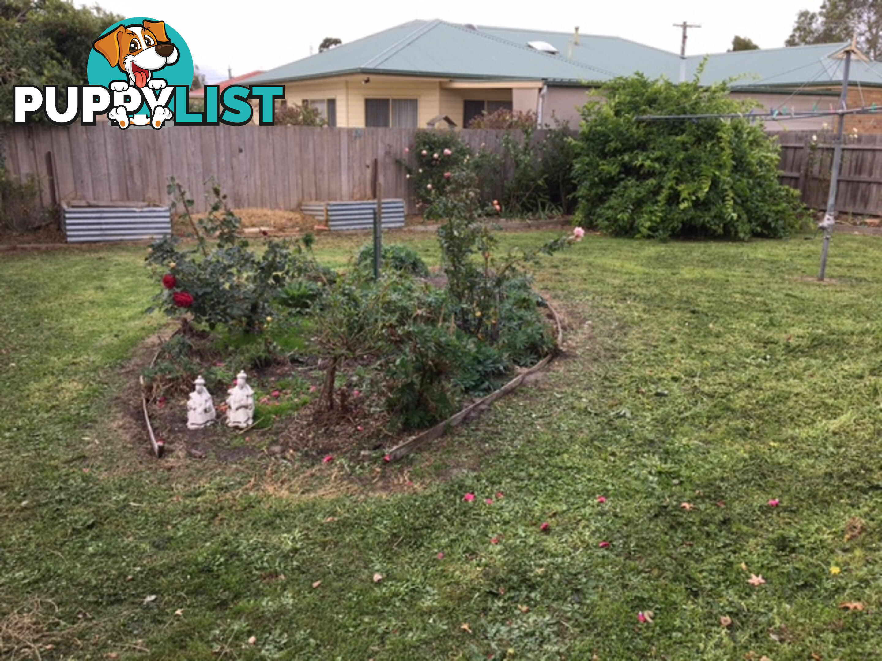 28 Court St FOSTER VIC 3960