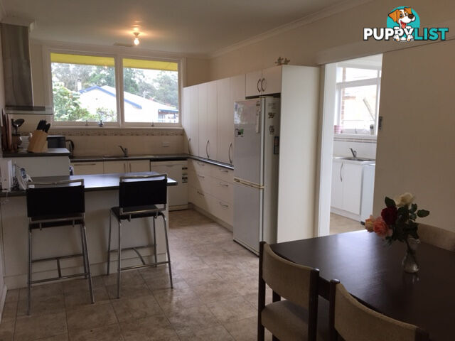 28 Court St FOSTER VIC 3960
