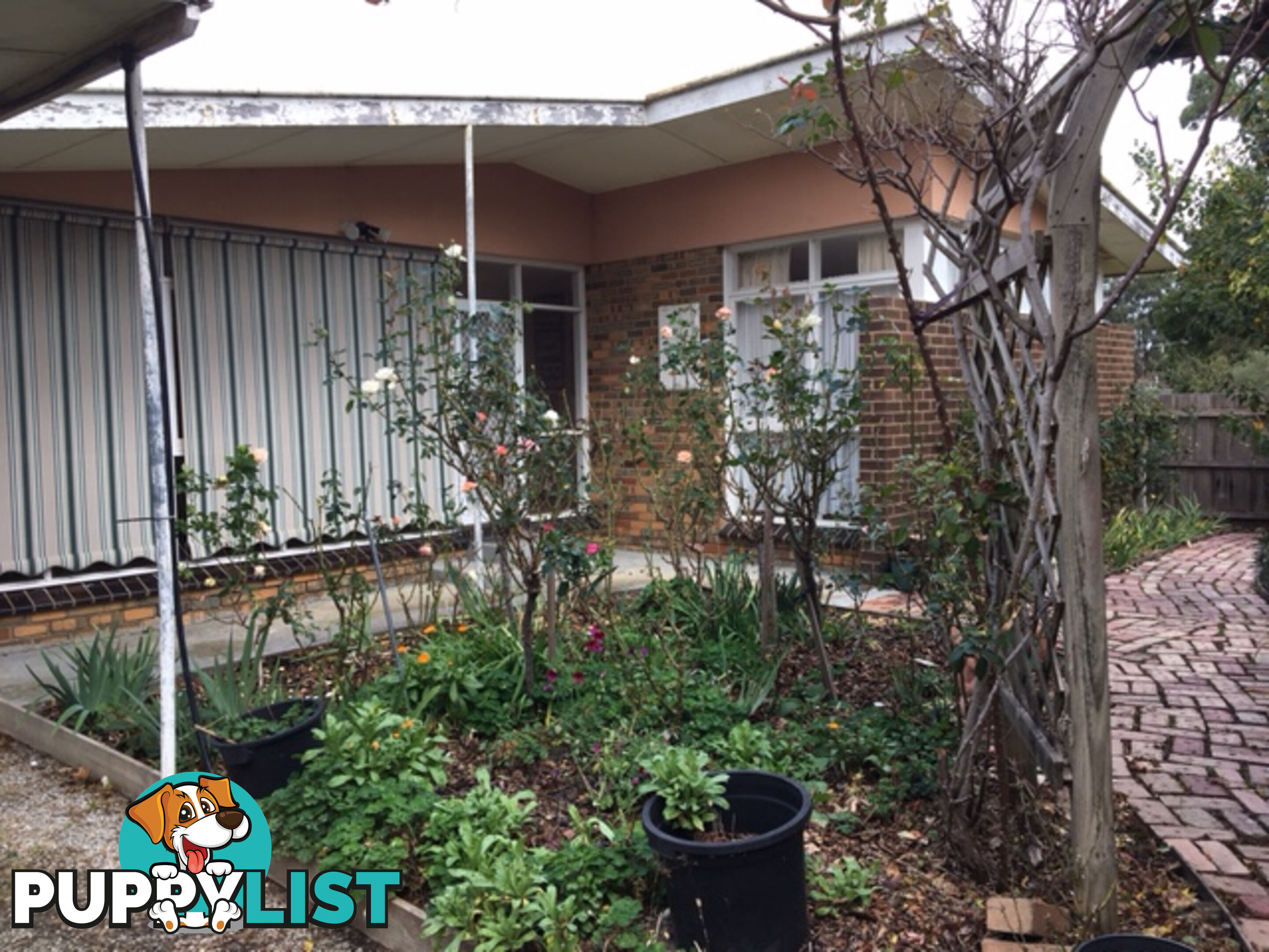 28 Court St FOSTER VIC 3960