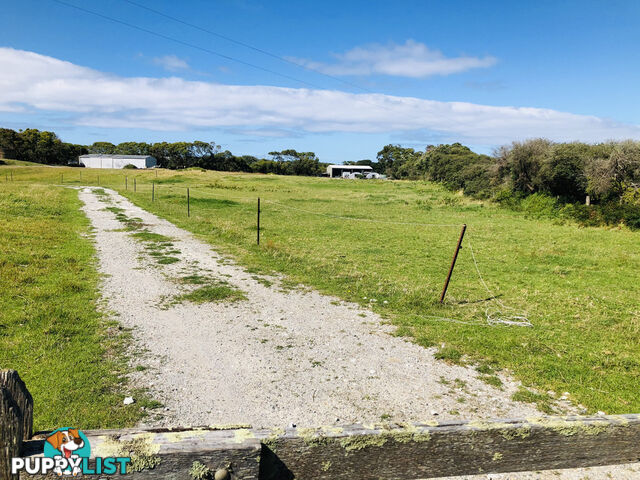 62 Sandy Point Rd SANDY POINT VIC 3959