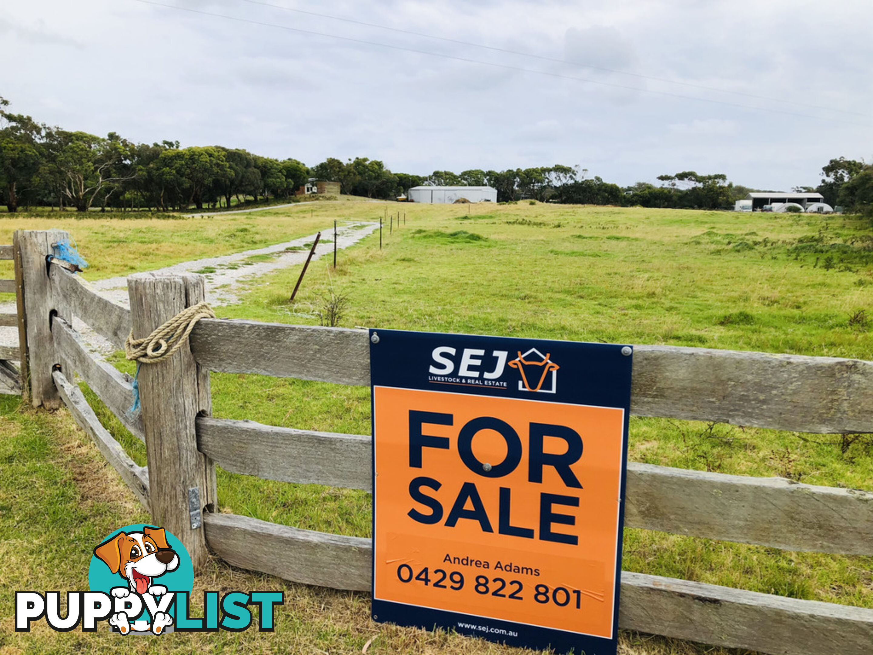 62 Sandy Point Rd SANDY POINT VIC 3959