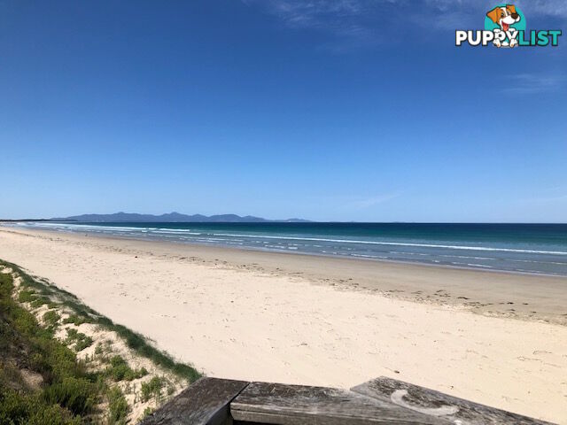 112 Fish Creek - Waratah Rd WARATAH BAY VIC 3959