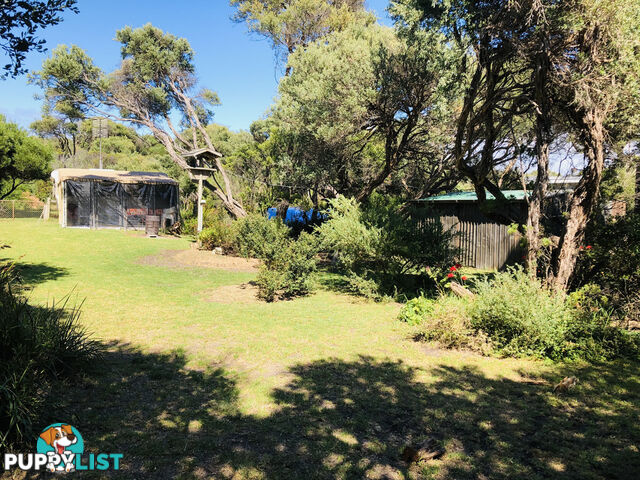 6 Beach Pde SANDY POINT VIC 3959