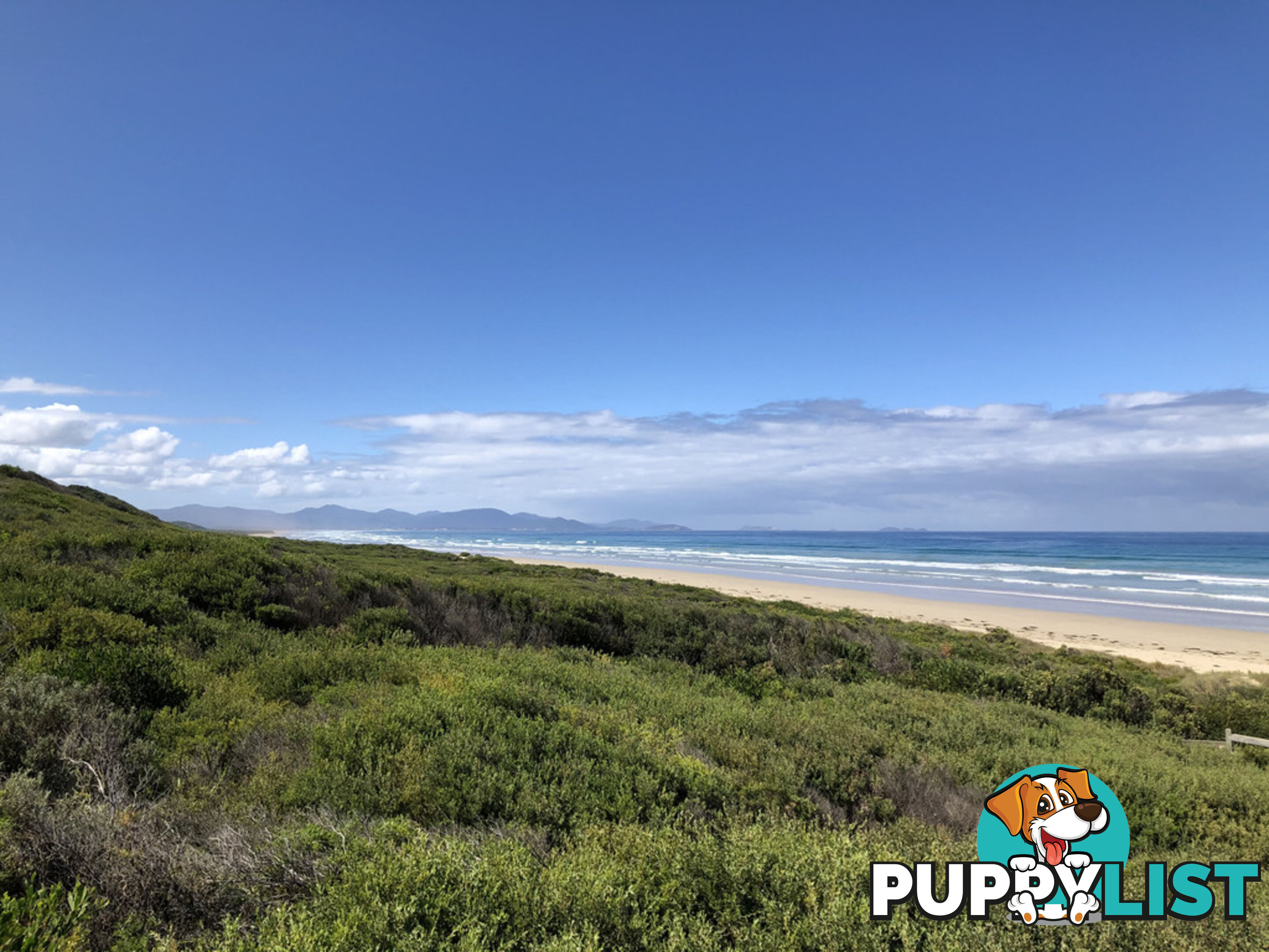 6 Beach Pde SANDY POINT VIC 3959