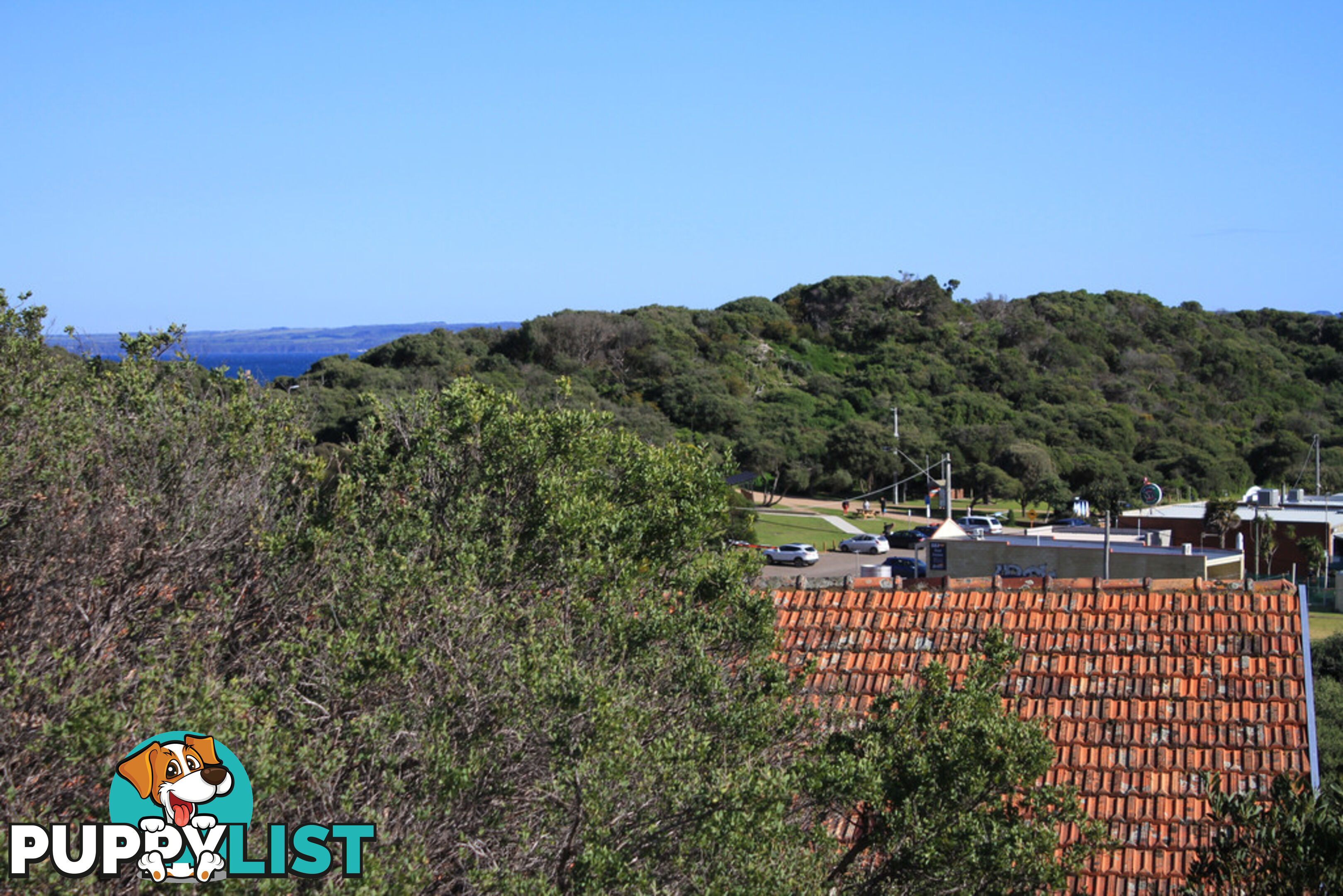 42 Oceanview Pde SANDY POINT VIC 3959