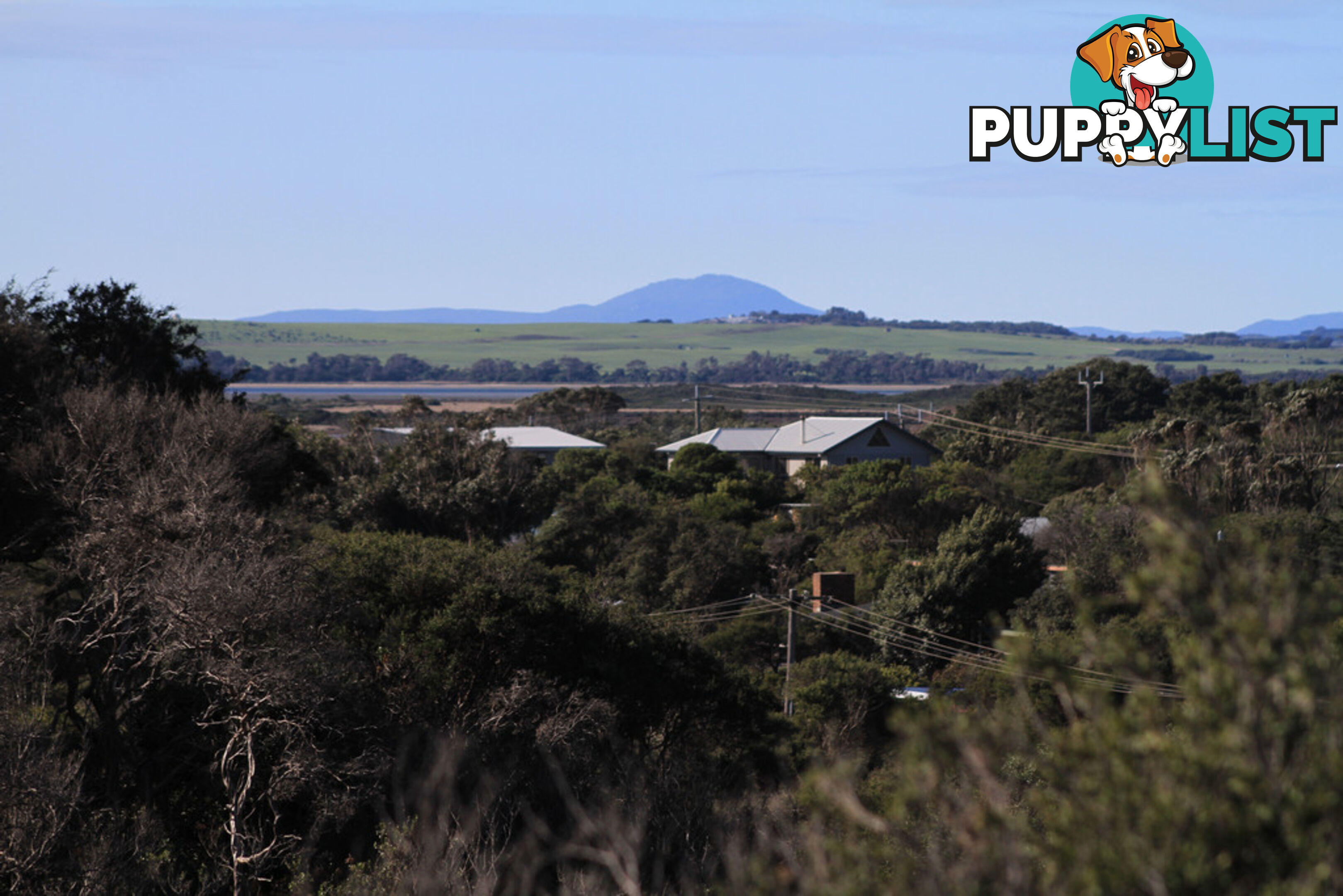 42 Oceanview Pde SANDY POINT VIC 3959