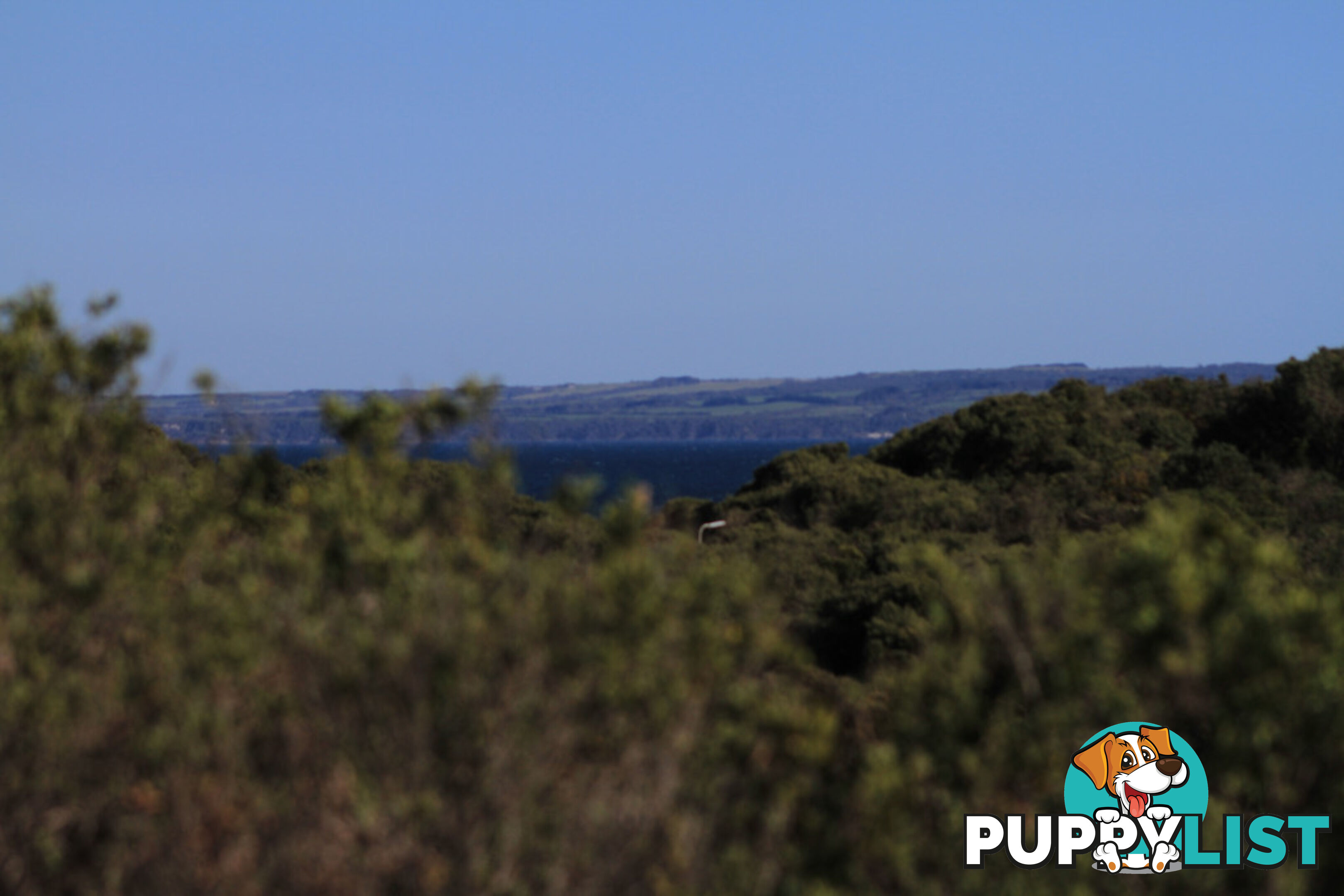 42 Oceanview Pde SANDY POINT VIC 3959
