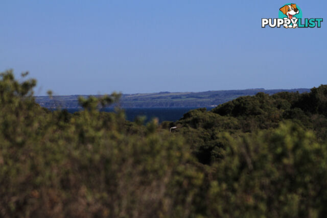 42 Oceanview Pde SANDY POINT VIC 3959