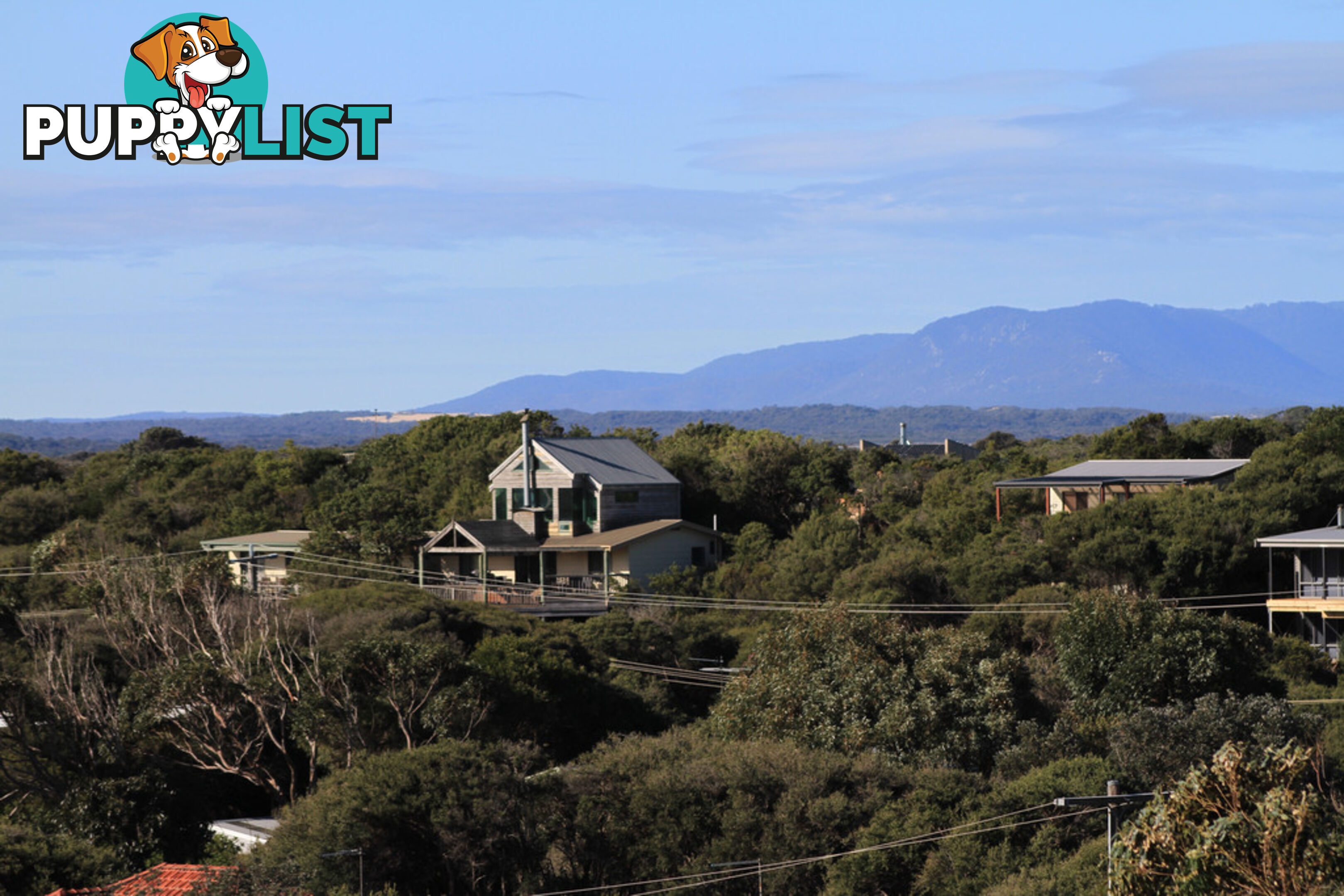 42 Oceanview Pde SANDY POINT VIC 3959