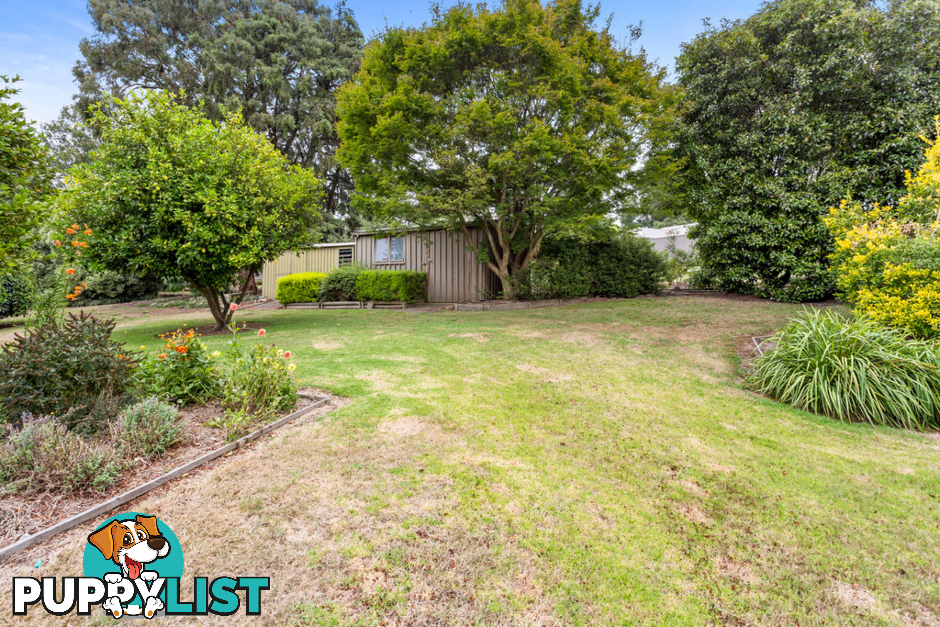 6 Pine Grove WARRAGUL VIC 3820