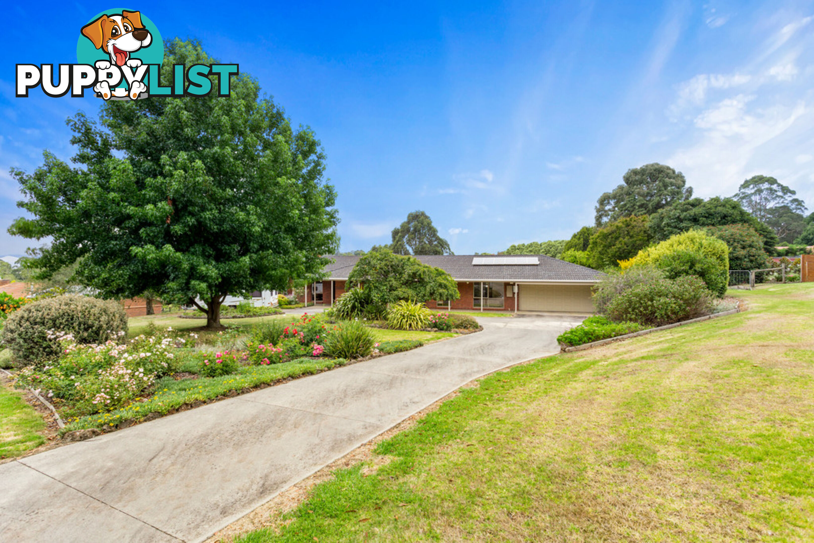 6 Pine Grove WARRAGUL VIC 3820