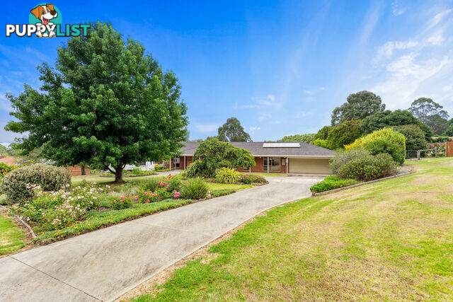 6 Pine Grove WARRAGUL VIC 3820