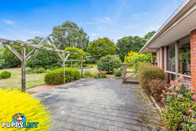 6 Pine Grove WARRAGUL VIC 3820