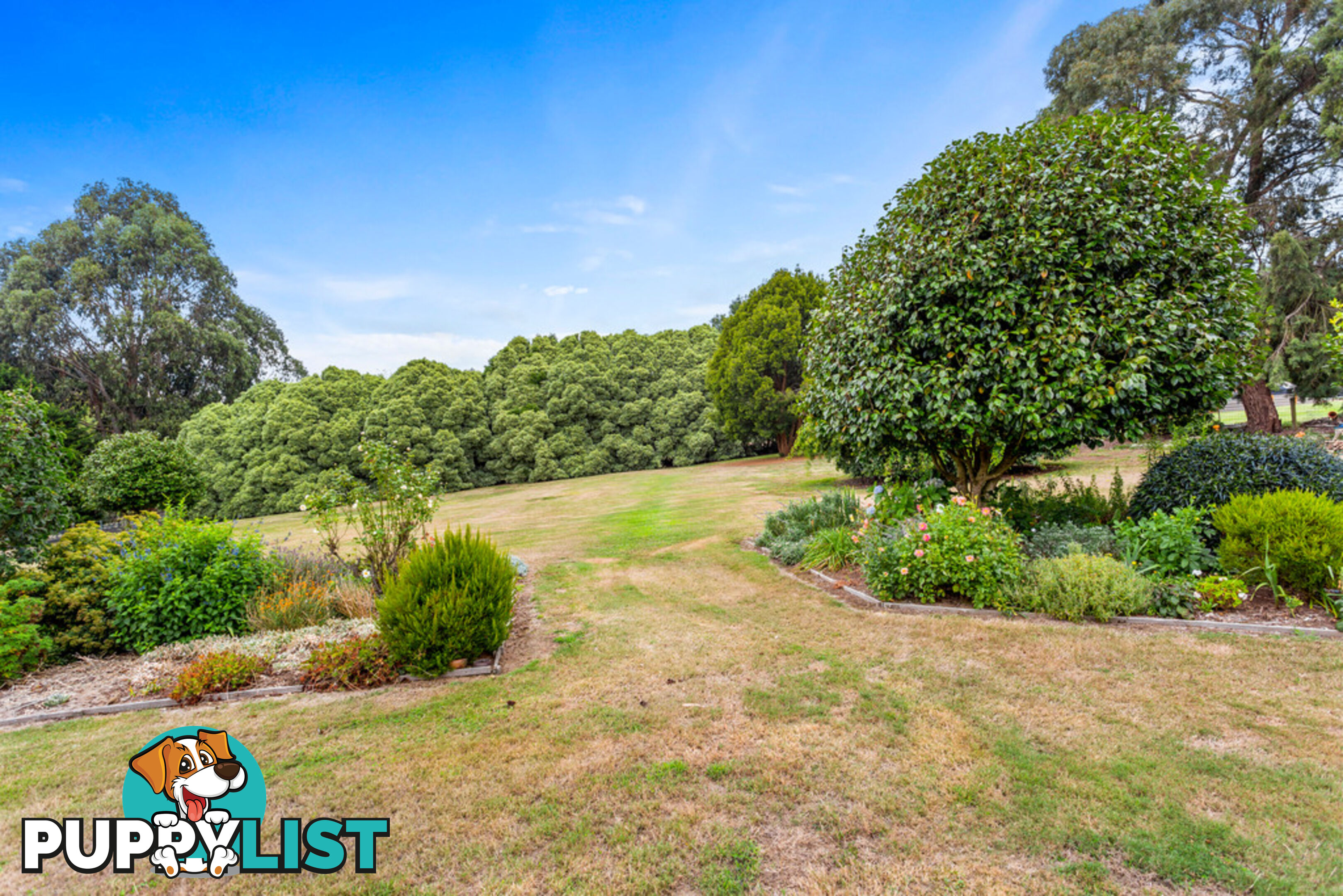 6 Pine Grove WARRAGUL VIC 3820