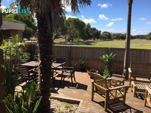 16 Telopea Drive SANDY POINT VIC 3959