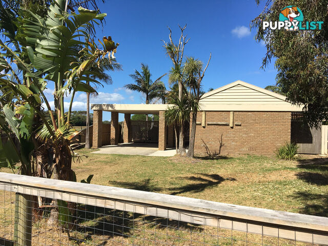 16 Telopea Drive SANDY POINT VIC 3959