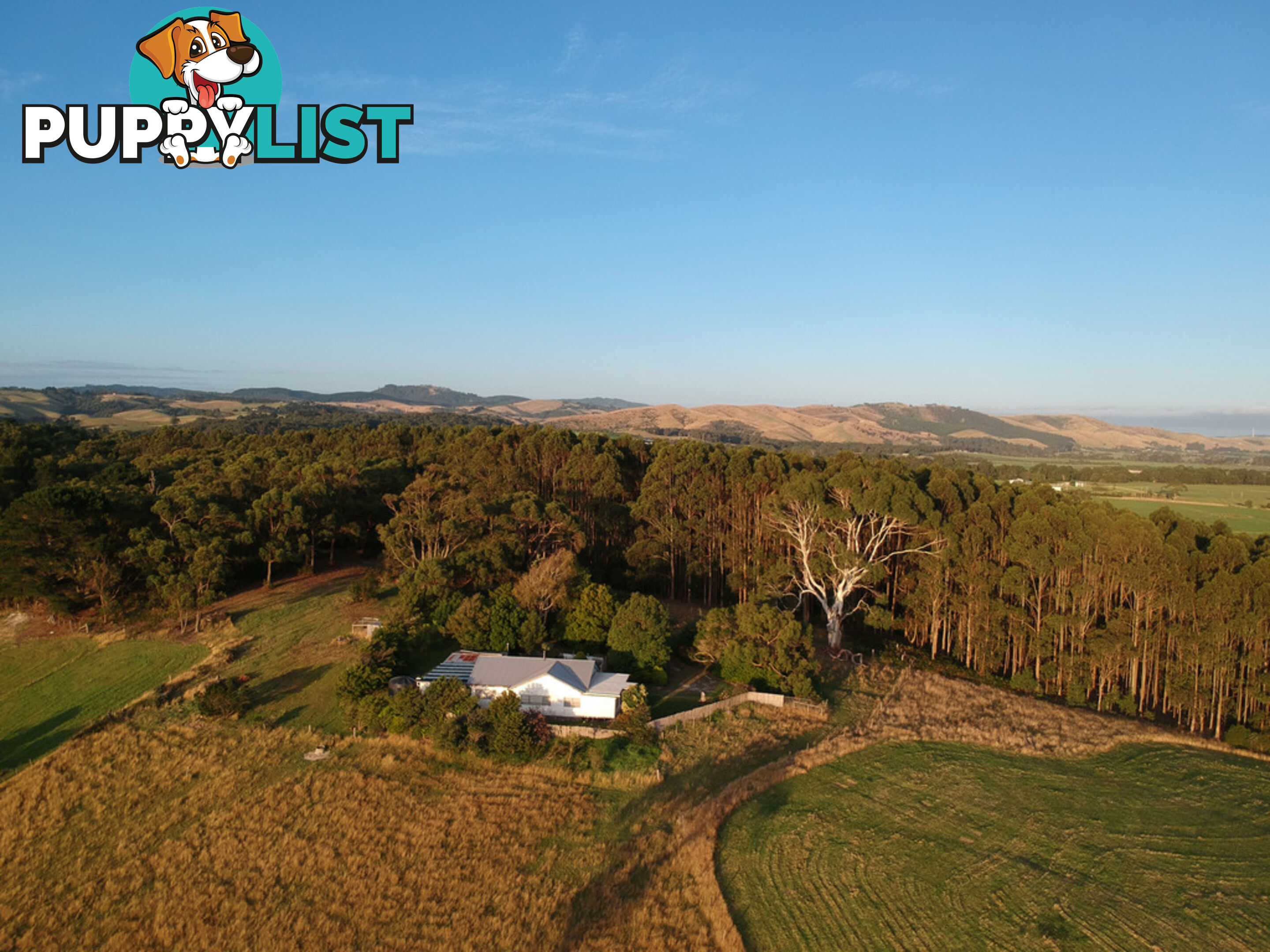 40 Hall Rd FOSTER VIC 3960