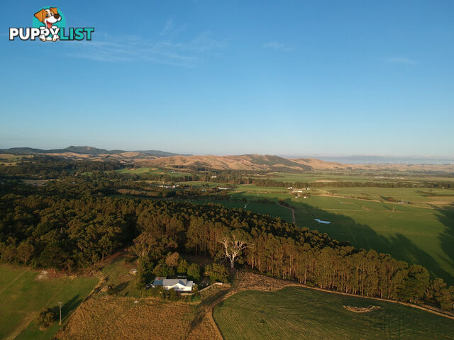 40 Hall Rd FOSTER VIC 3960