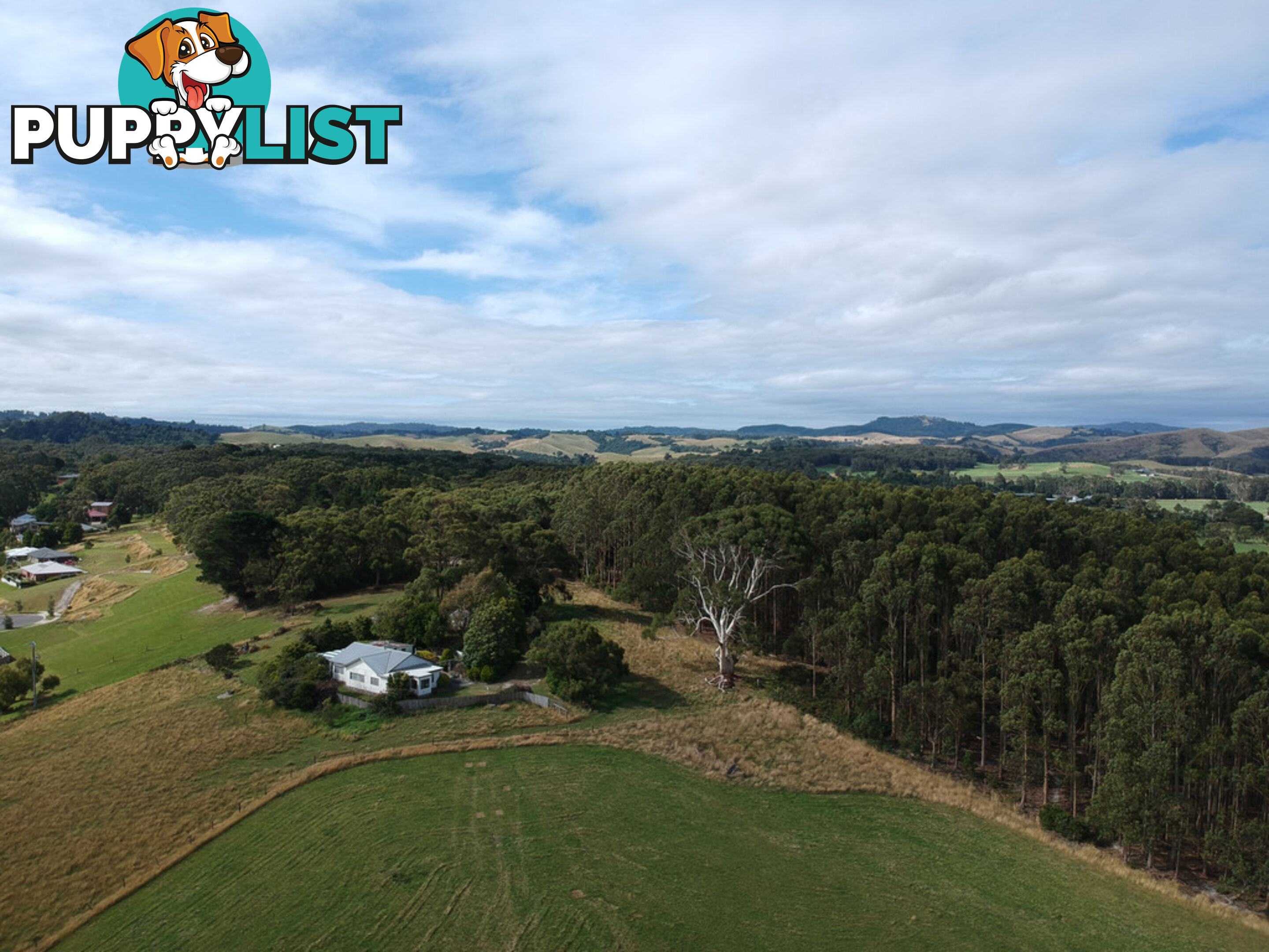 40 Hall Rd FOSTER VIC 3960