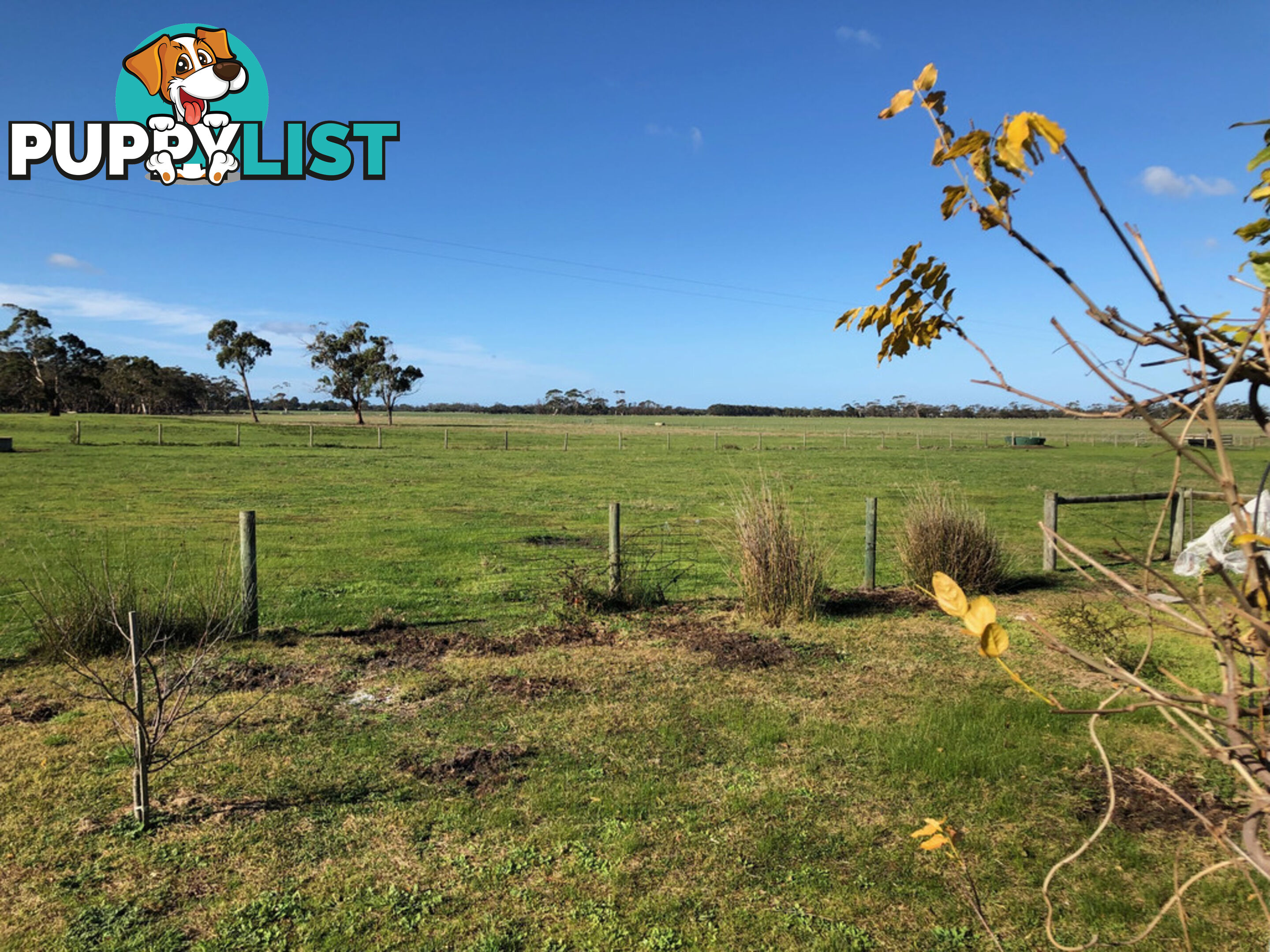 106 Holmans Rd YARRAM VIC 3971