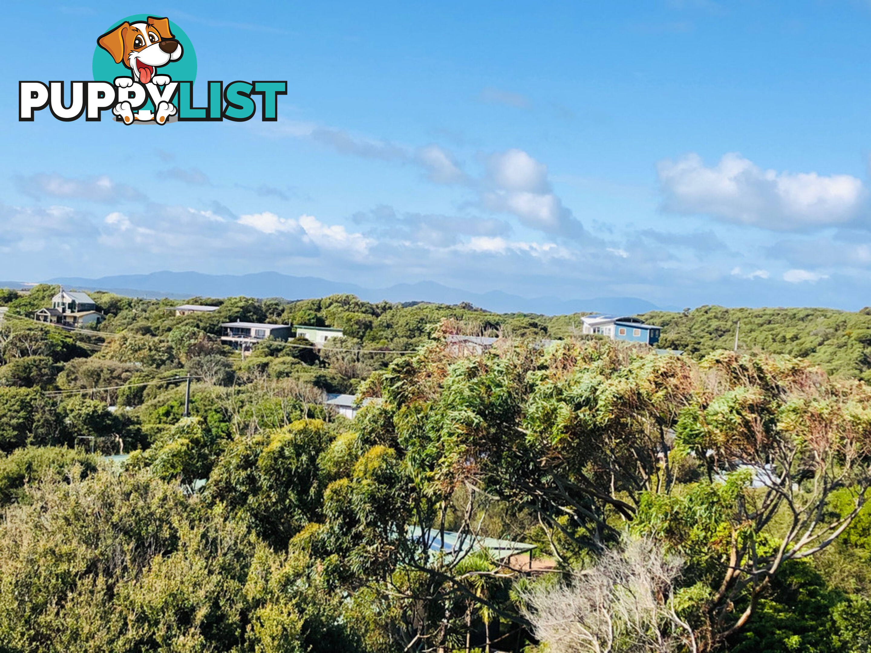 40 Ocean View Pde SANDY POINT VIC 3959