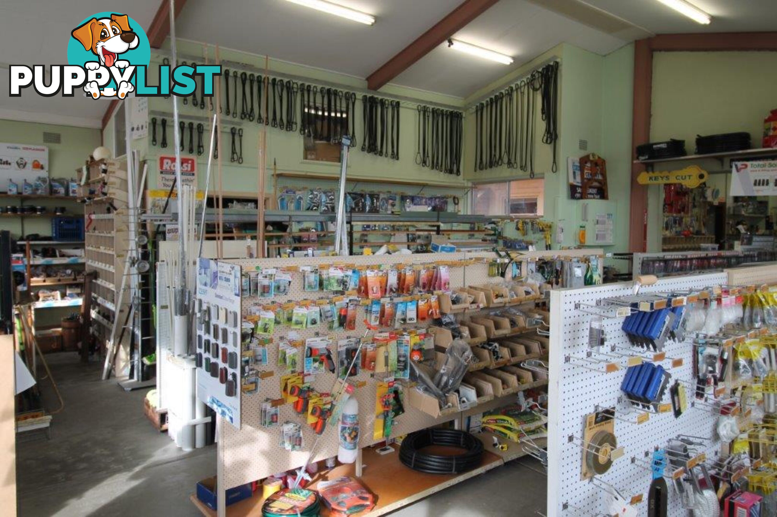 31 Stanley St TOORA VIC 3962
