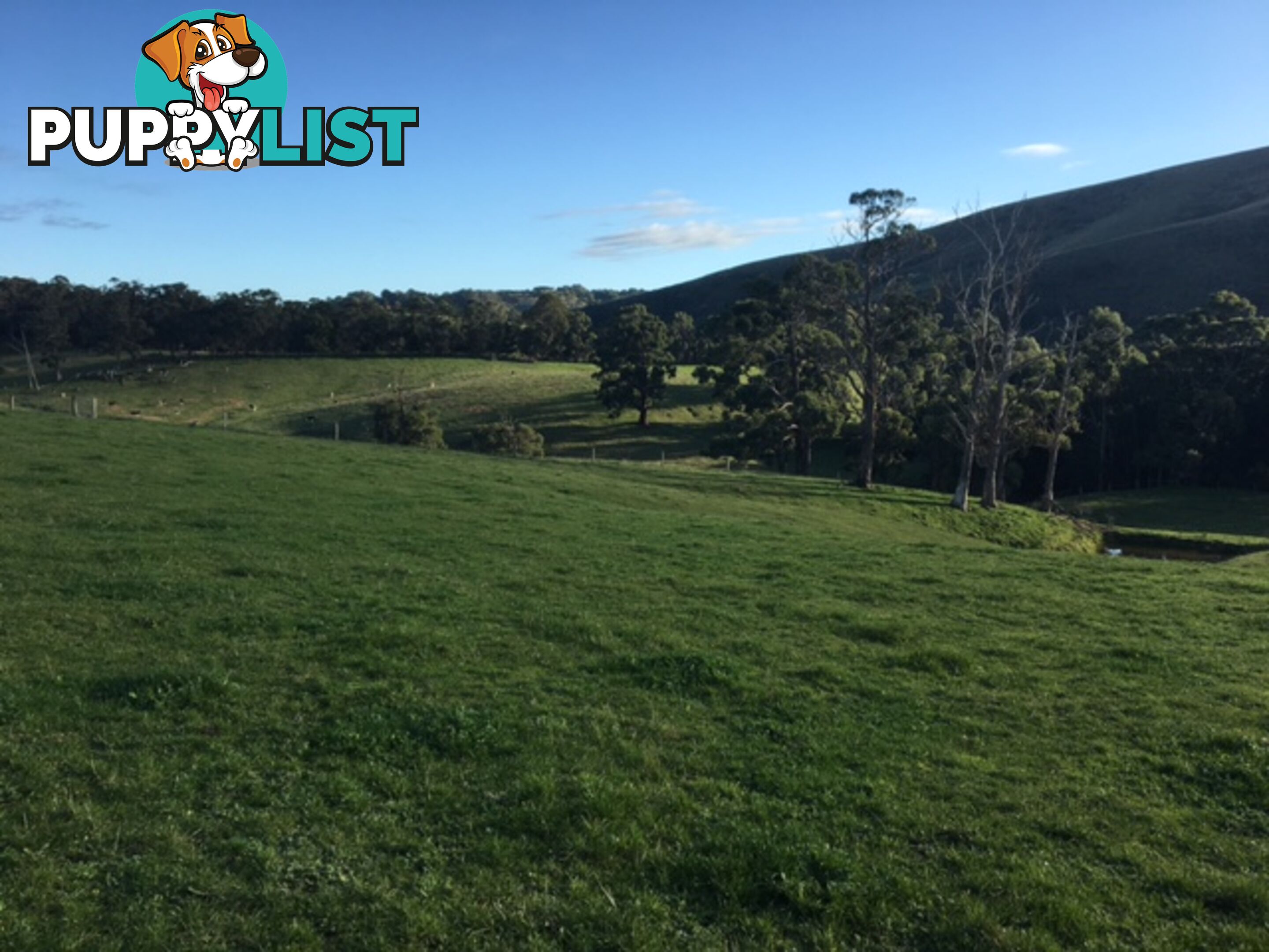 4095 South Gippsland Hwy FOSTER VIC 3960