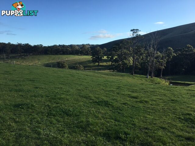 4095 South Gippsland Hwy FOSTER VIC 3960