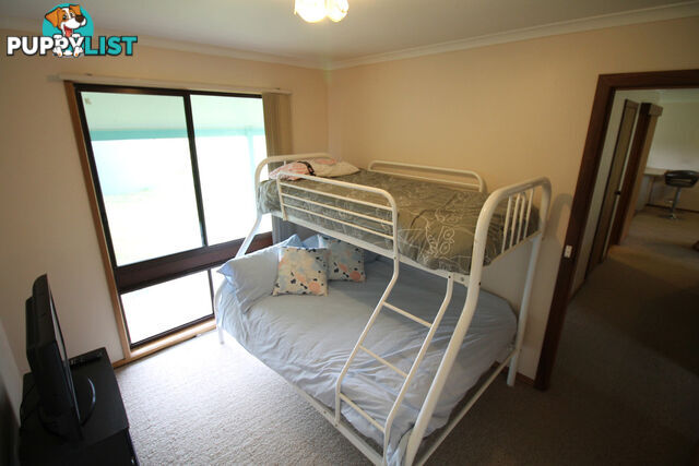 5 Ash Ave SANDY POINT VIC 3959