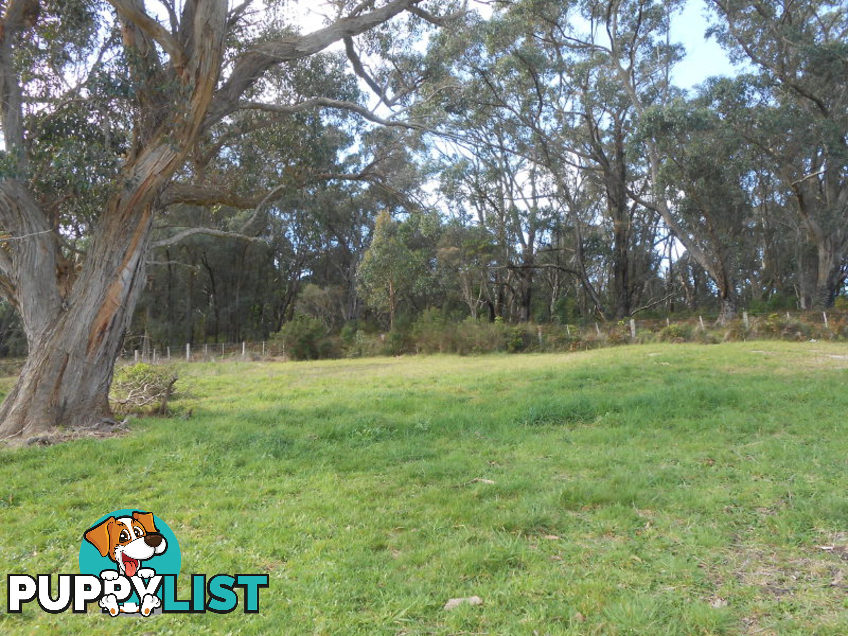 6 Banksia Rise FOSTER VIC 3960