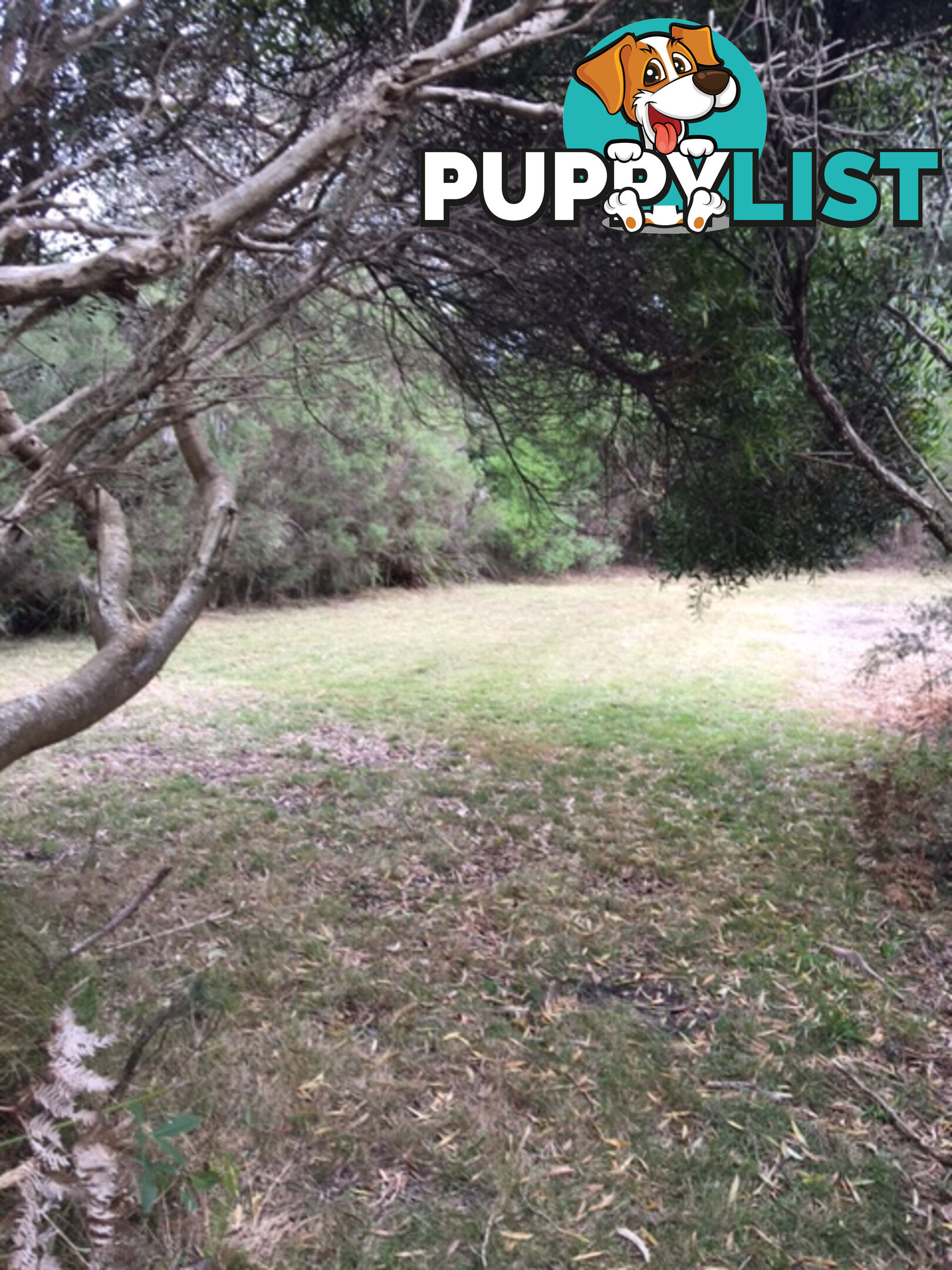 34 Grevillia St WALKERVILLE VIC 3956