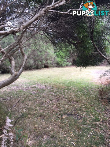 34 Grevillia St WALKERVILLE VIC 3956