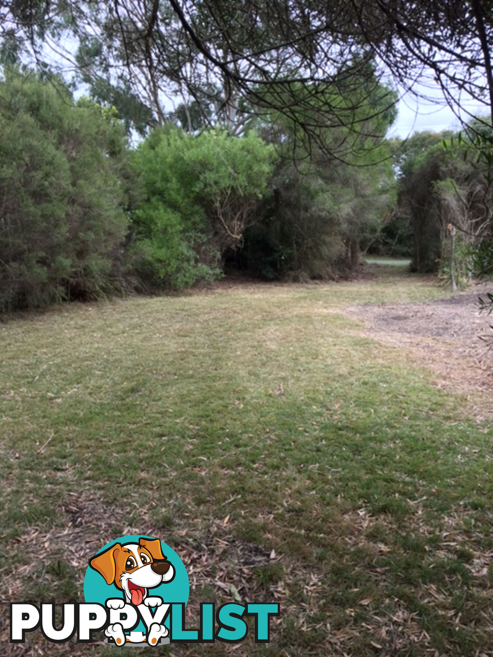 34 Grevillia St WALKERVILLE VIC 3956