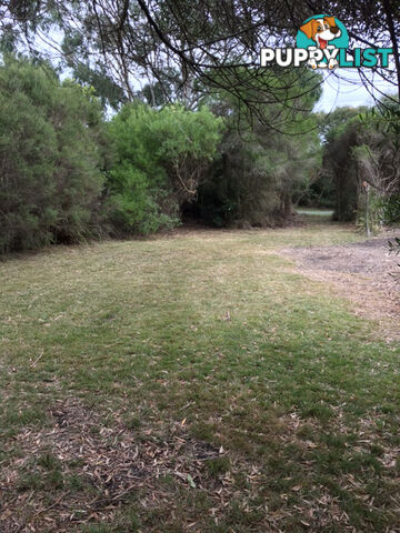 34 Grevillia St WALKERVILLE VIC 3956