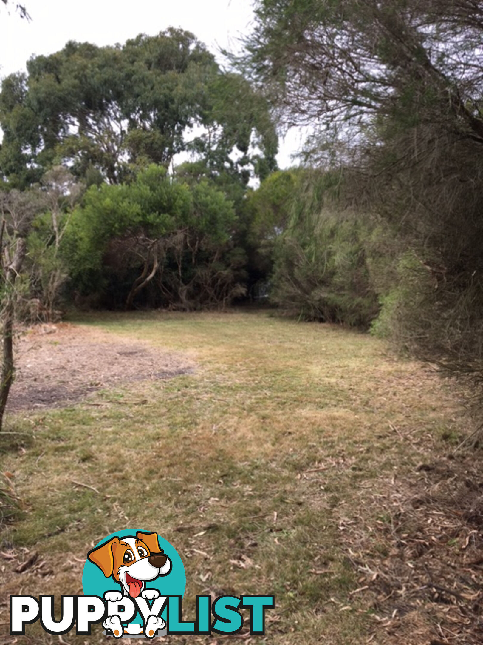 34 Grevillia St WALKERVILLE VIC 3956