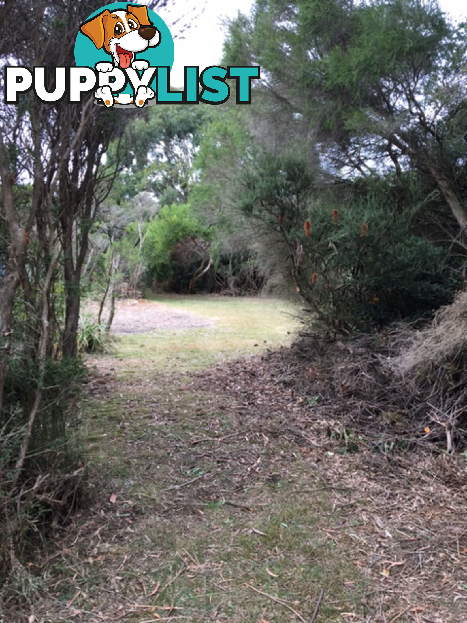 34 Grevillia St WALKERVILLE VIC 3956