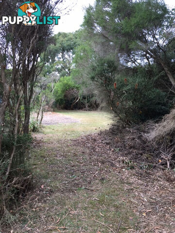 34 Grevillia St WALKERVILLE VIC 3956