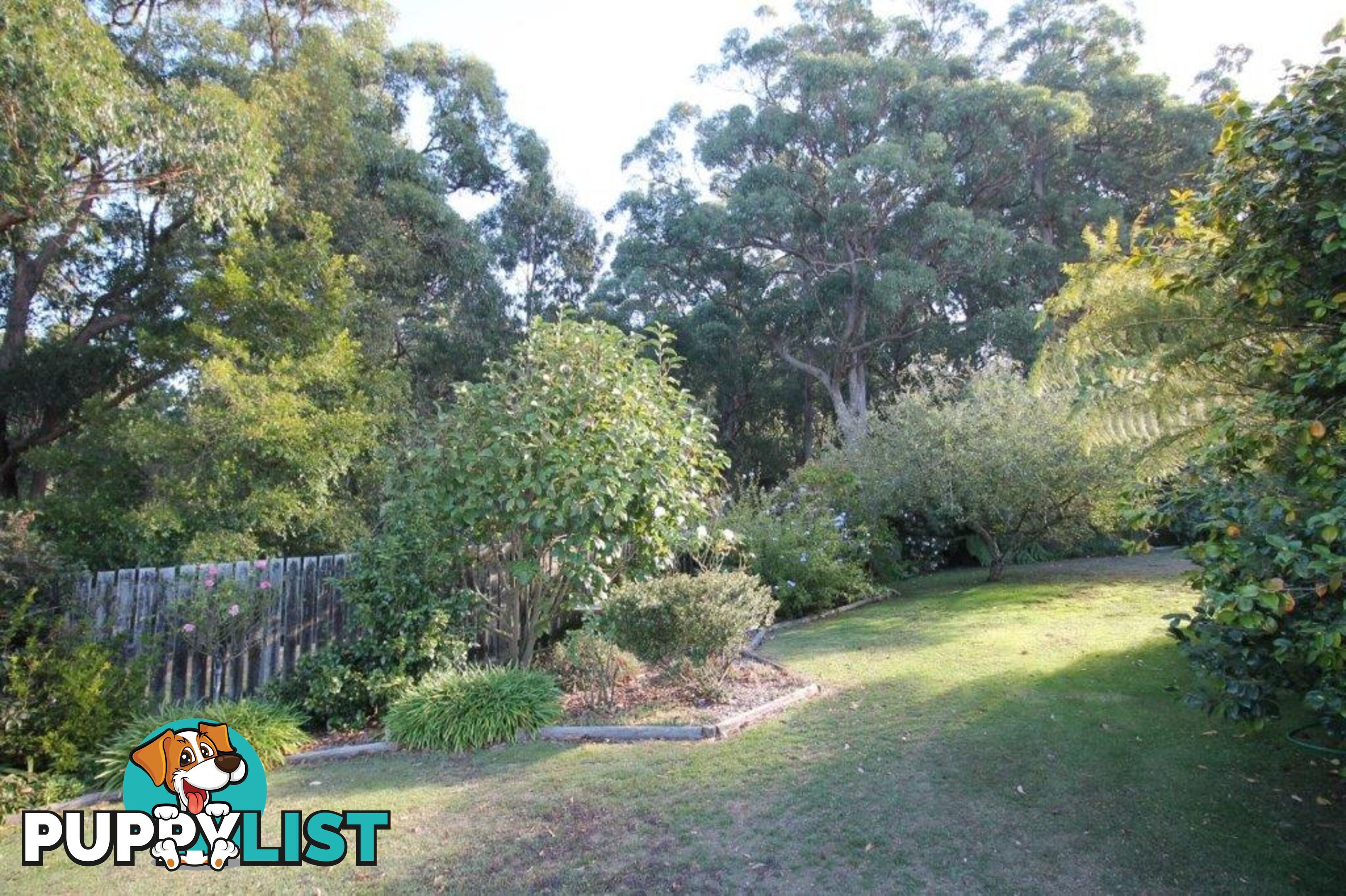 4 Albert River Rd WELSHPOOL VIC 3966