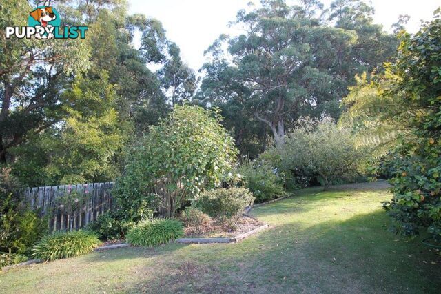 4 Albert River Rd WELSHPOOL VIC 3966