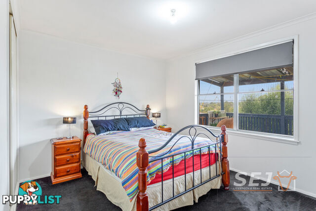 34 Henshall Street WARRAGUL VIC 3820